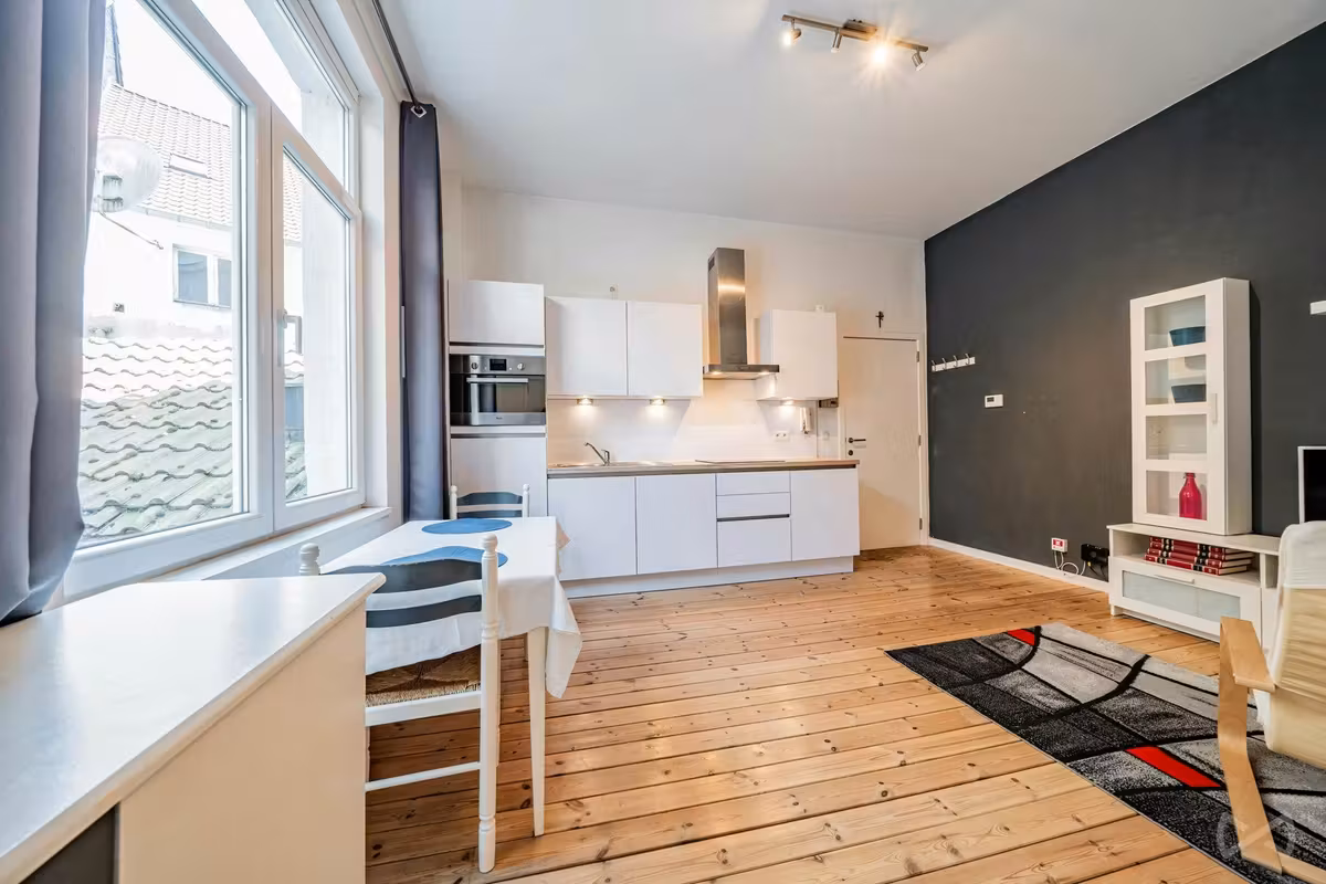 Gerenoveerd appartement met één slaapkamer in Woluwe-Saint-Pierre - 12
