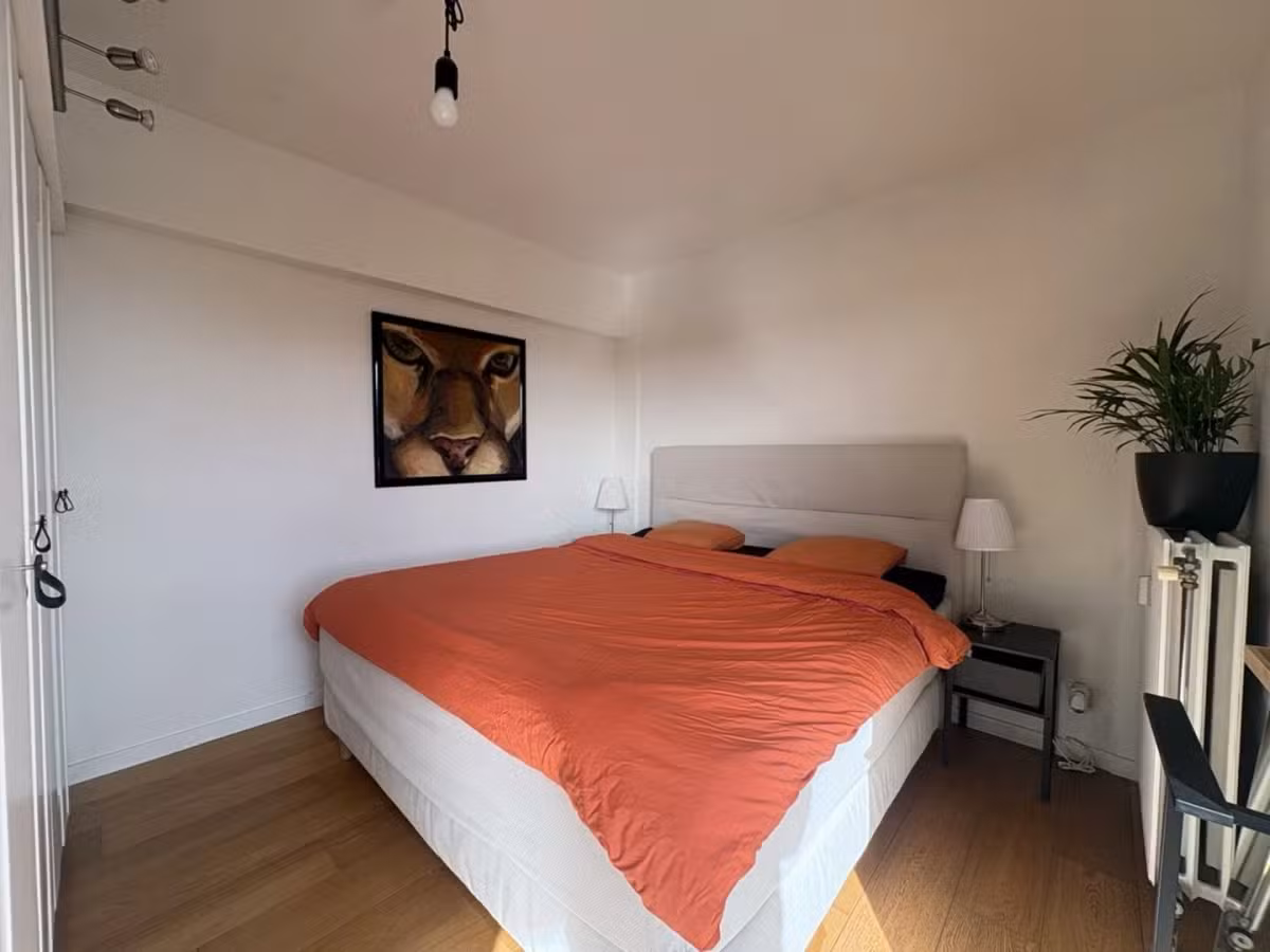 Appartement met 2 slaapkamers en terras in Gent - 4