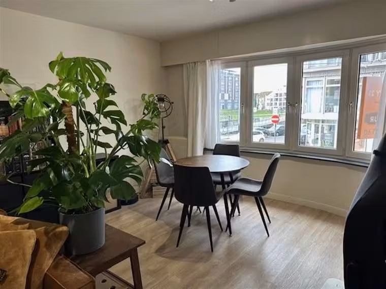 Super gezellig 1 slaapkamer appartement op Coupure Rechts - 2