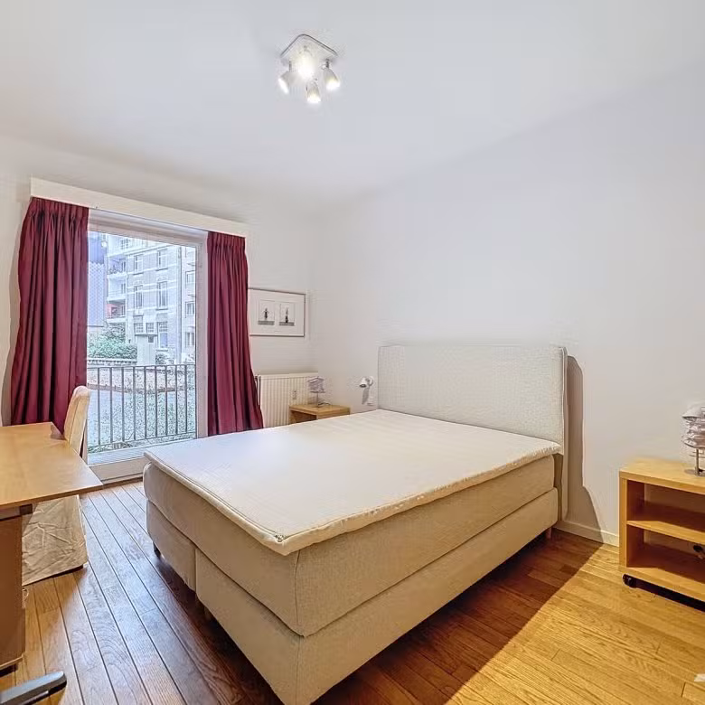 Furnished 2-bedroom apartment with terrace - 10