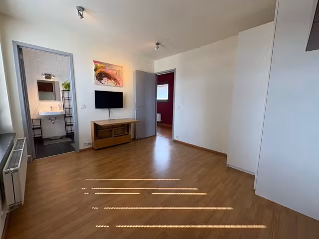 Penthouse te huur in Molenbeek-Saint-Jean - 7