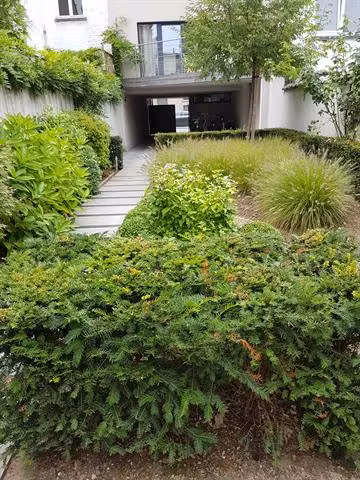 Studio in het hartje van Uccle - 5