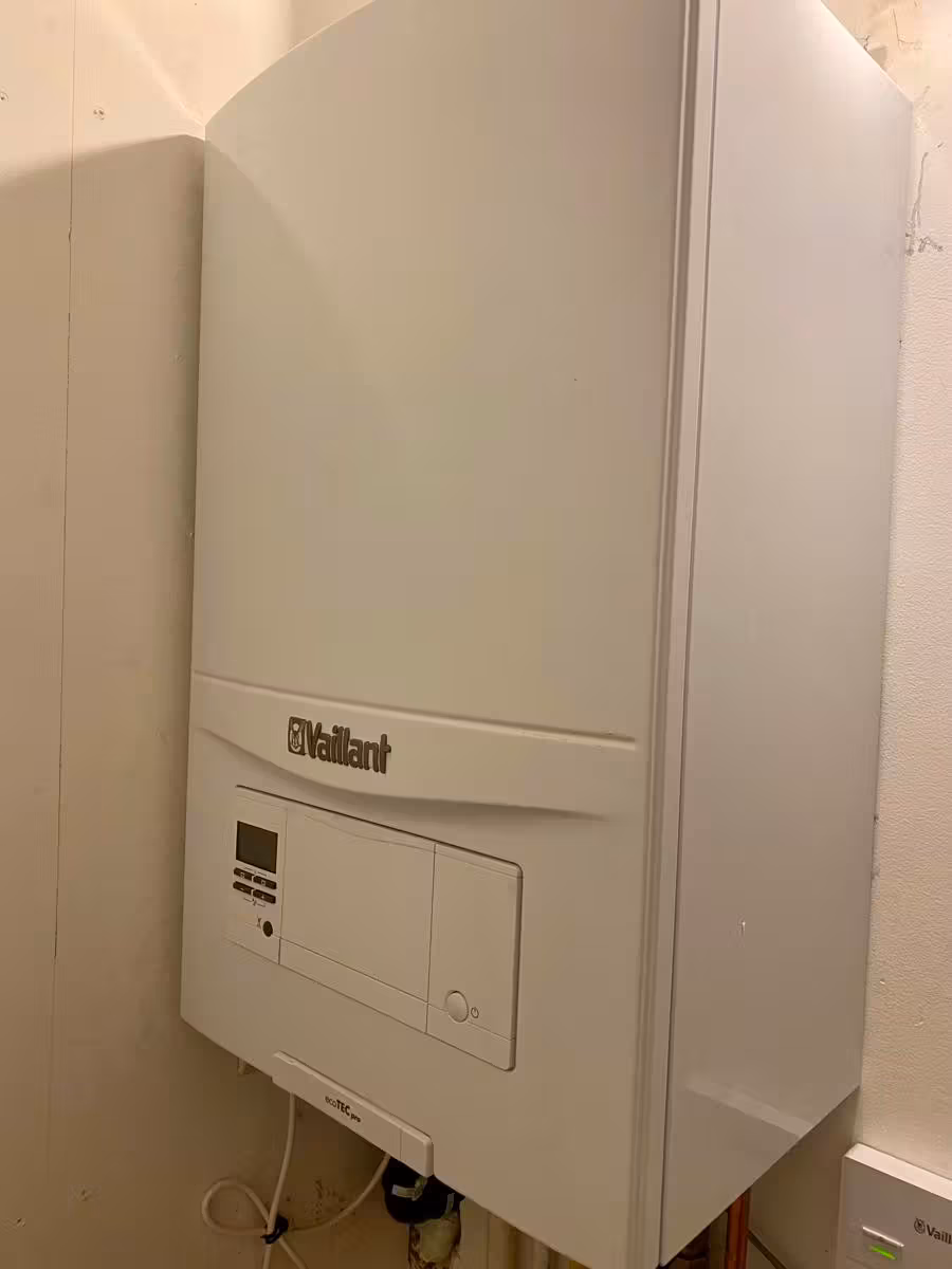 Appartement in Sint-Gillis - 10