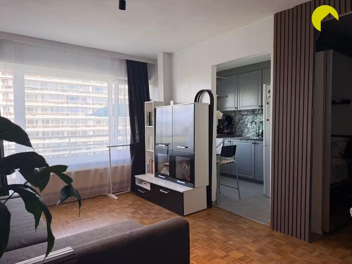 Studio meublée avec grande terrasse - 5