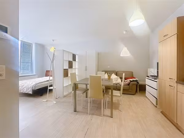 Studio rénové avec terrasse à Jette - 10