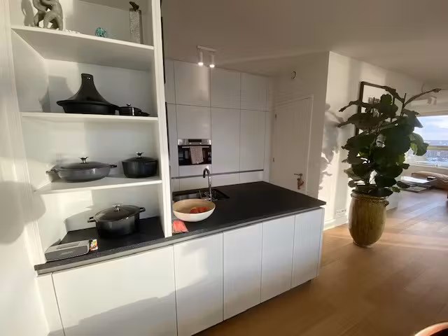 Ruime en gemeubelde penthouse op het trendy eilandje - 6