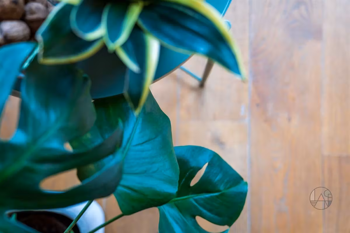 Cosy éénslaapkamer appartement voor city lovers - 7