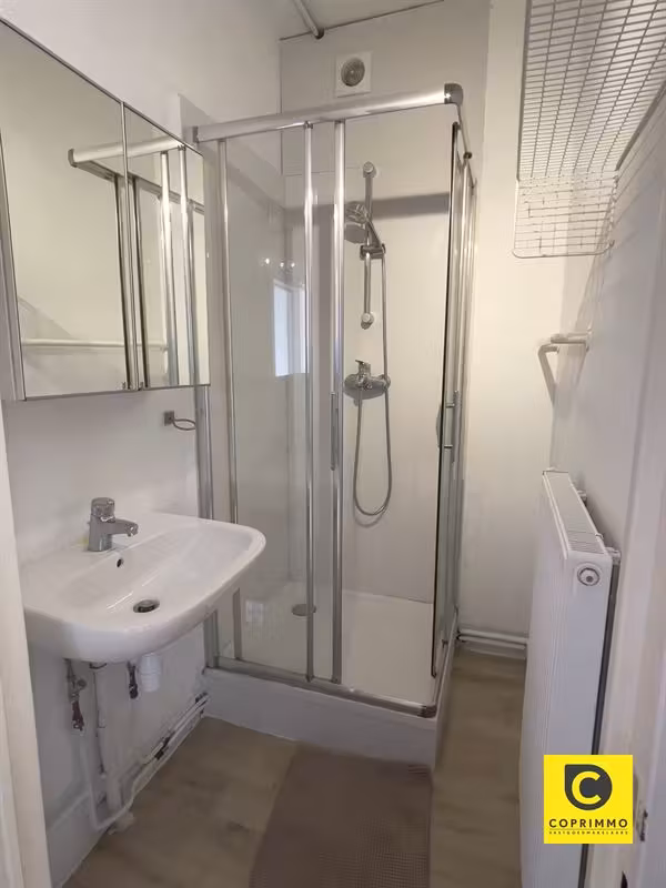 Bright 2-bedroom apartment in Wilrijk - 5