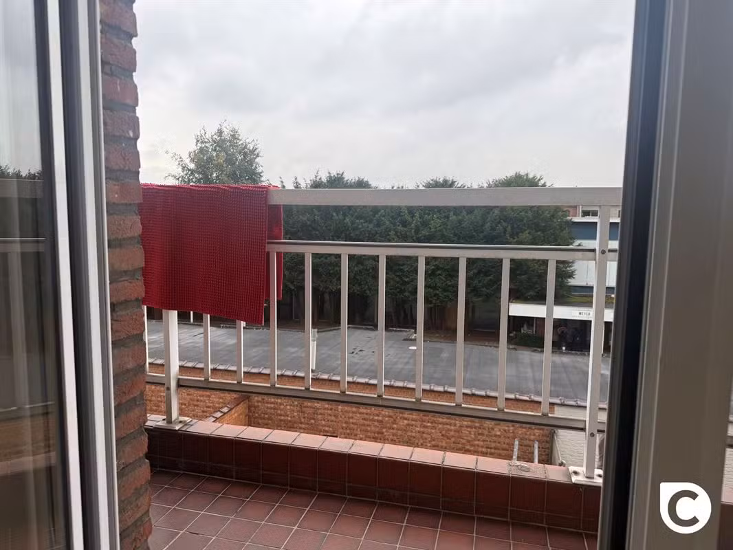 Ruim appartement met 3 slaapkamers en terras - 2
