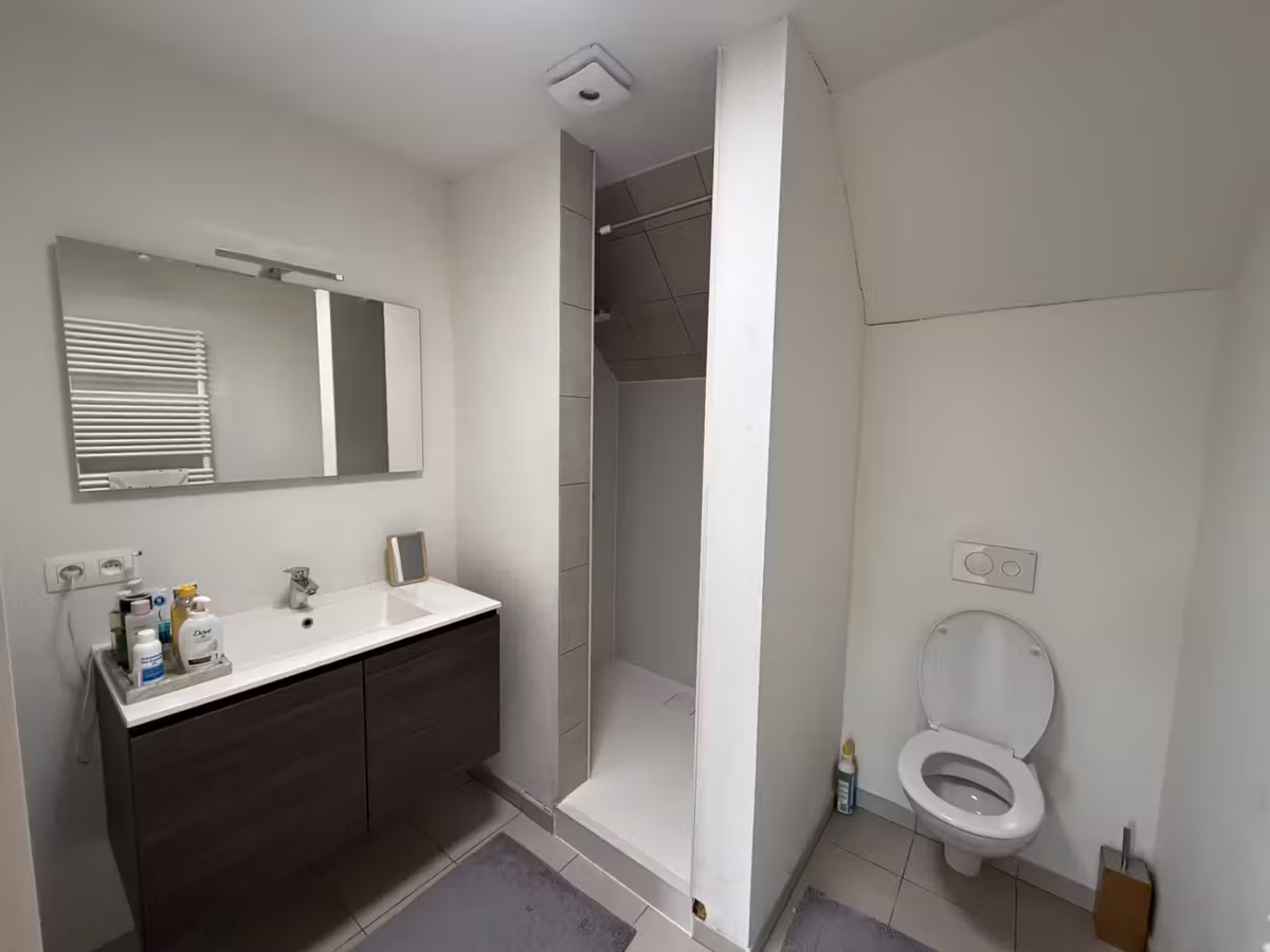Dakappartement met 2 slaapkamers nabij Gent-Dampoort - 6