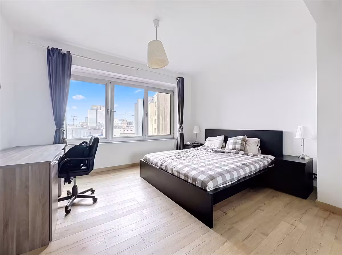 Furnished apartment near the European district - 7