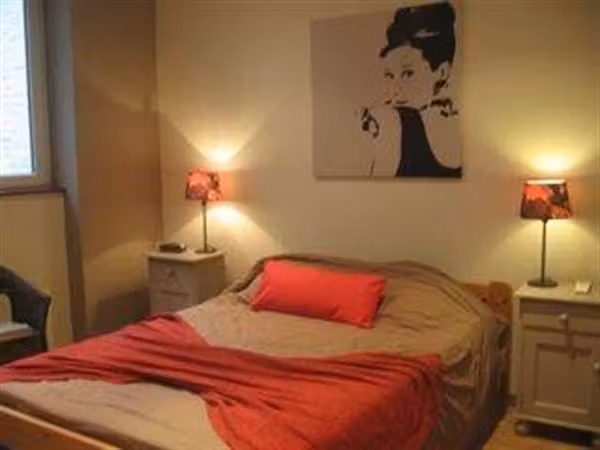 Comfortabel gemeubileerd appartement in Châtelain - 4