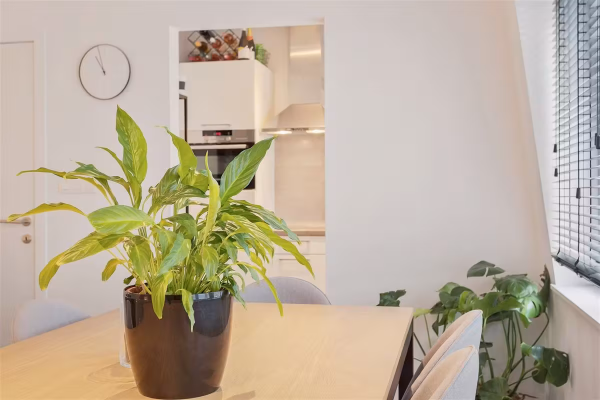 Fully furnished 1 bedroom apartment in Antwerp city - 10