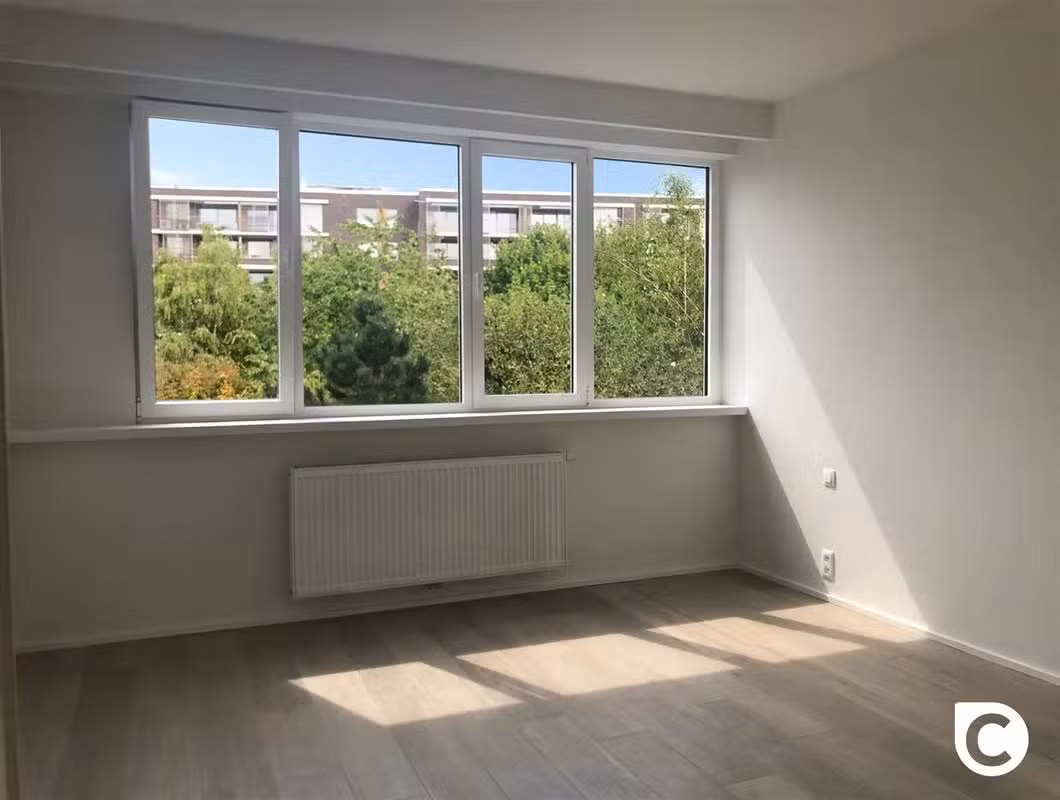 Appartement met 2 slaapkamers en terras in Berchem - 11