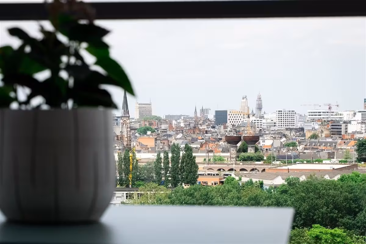Spacious 2-bedroom apartment with terrace - 2