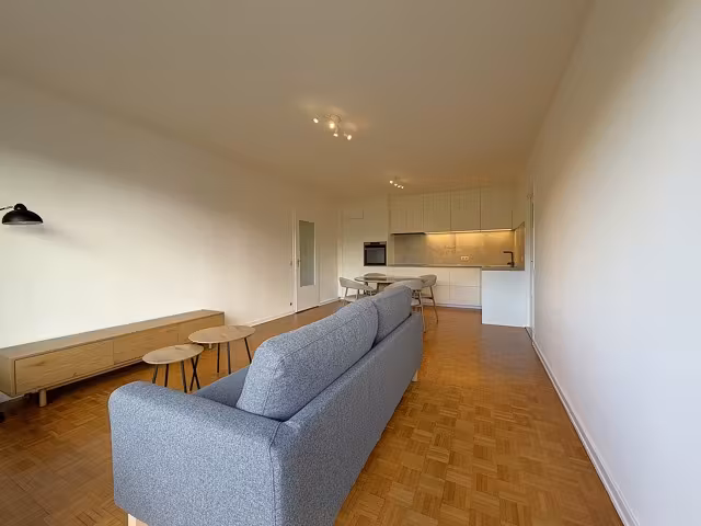 Furnished renovated apartment with terrace - 6