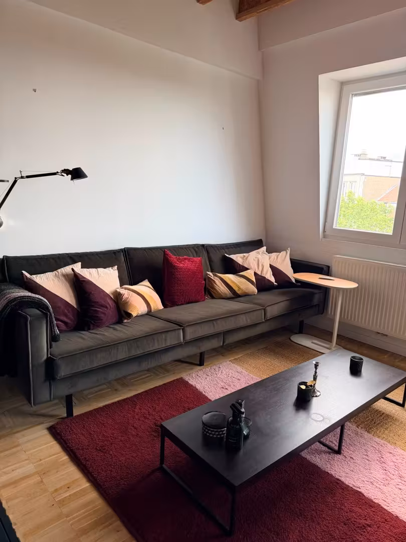 Gemeubeld 1-slaapkamerappartement te huur in Antwerpen - 6