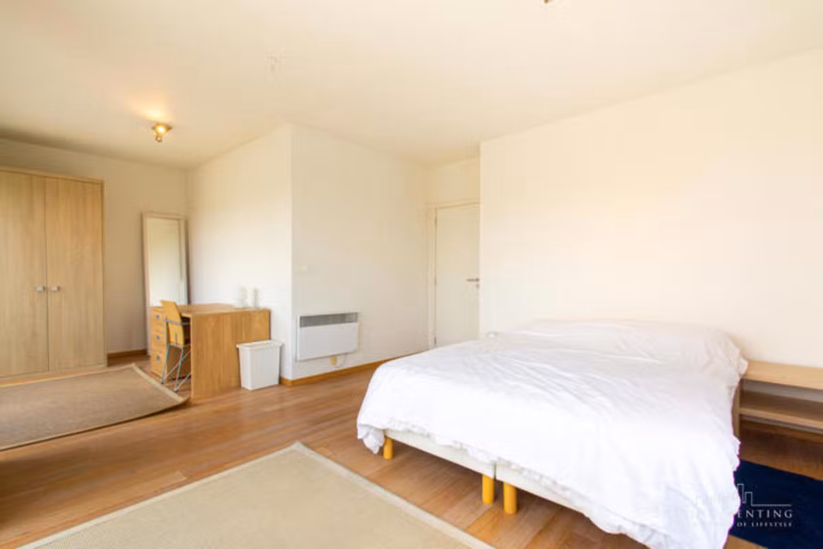 Gemeubileerde penthouse met terras in het Europese kwartier - 4