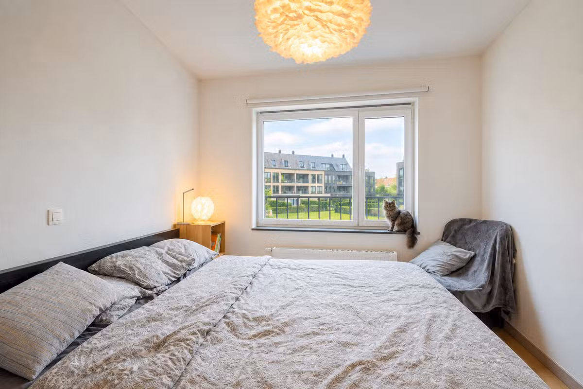 Two-bedroom apartment with terrace - 4