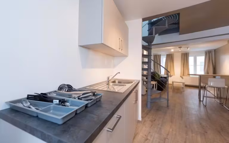 Duplex penthouse in het hart van Brussel - 8