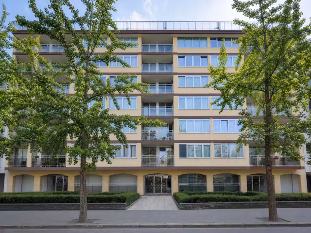 Studio for rent in Jette - 10