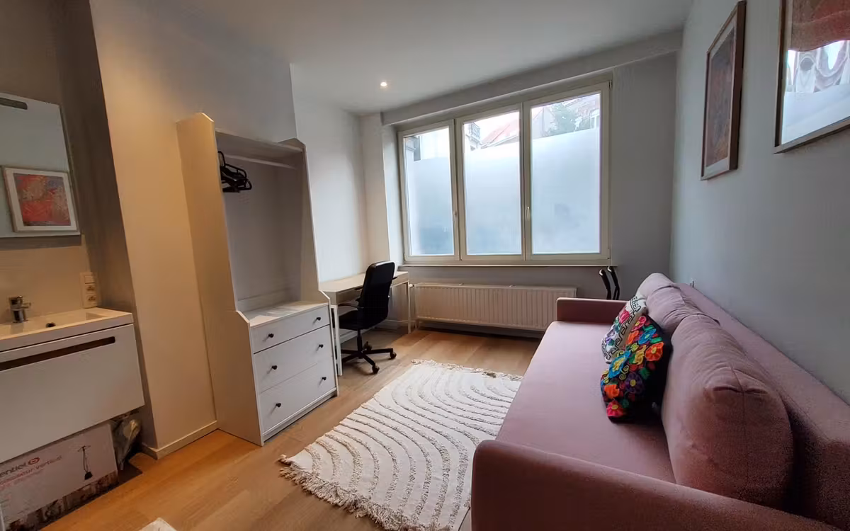 Magnificent luxury furnished flat in Châtelain - 16