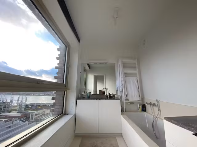 Ruime en gemeubelde penthouse op het trendy eilandje - 11