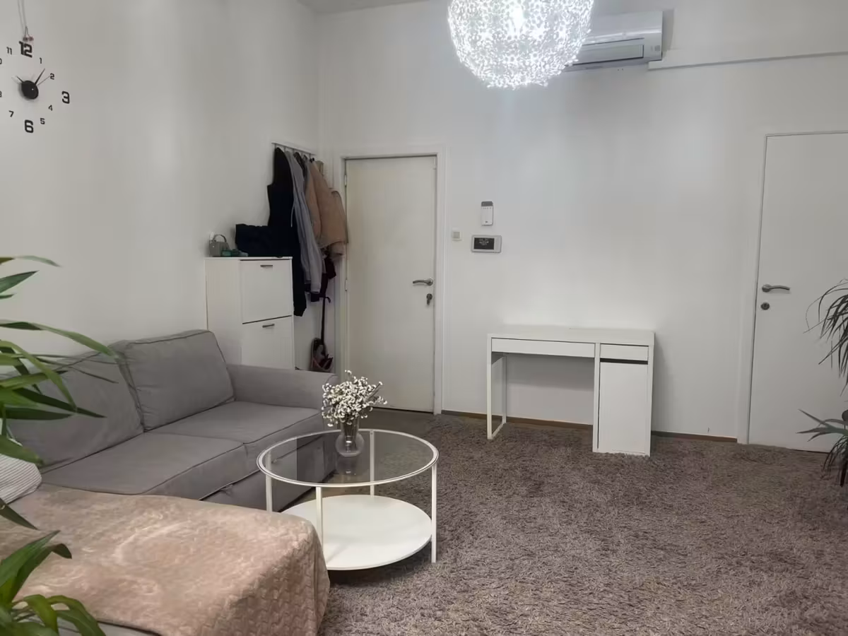 One-bedroom apartment on the ground floor - 5