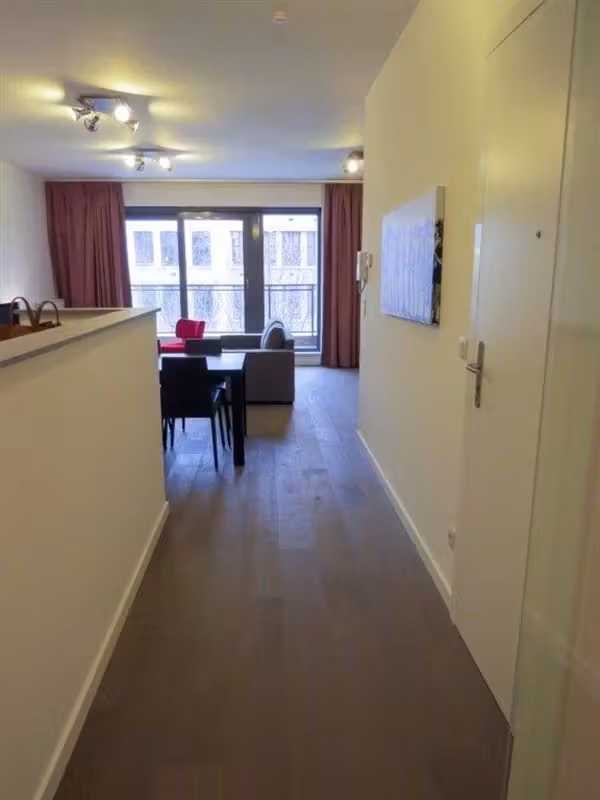 Furnished apartment downtown - 5