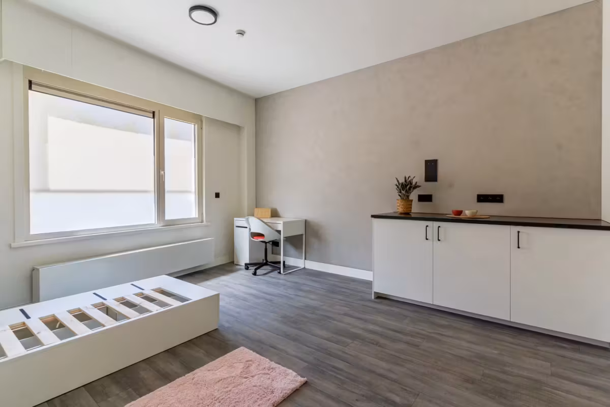 Gerenoveerde studentenkamers & studio's - 13
