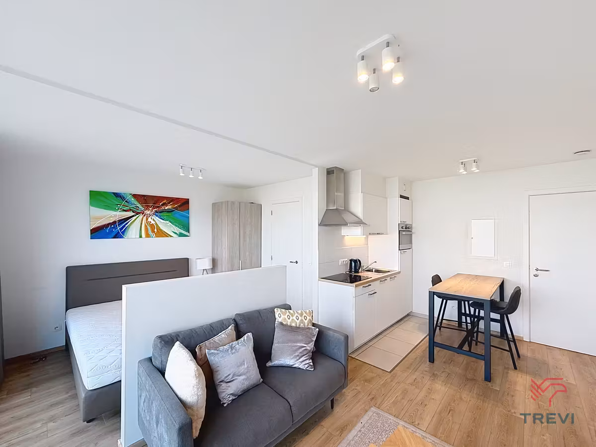Furnished studio with terrace and parking - 6
