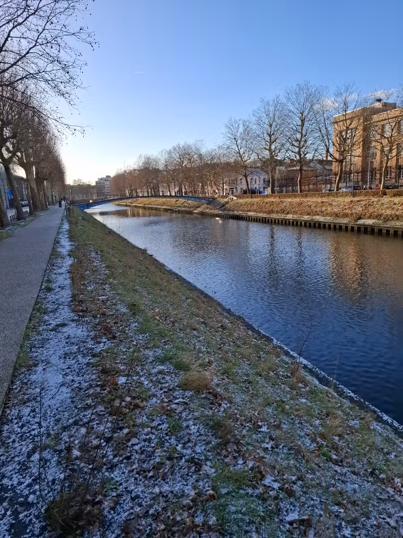 Ruime, instapklare en lichtrijke studio met groot terras aan de Coupure - 15