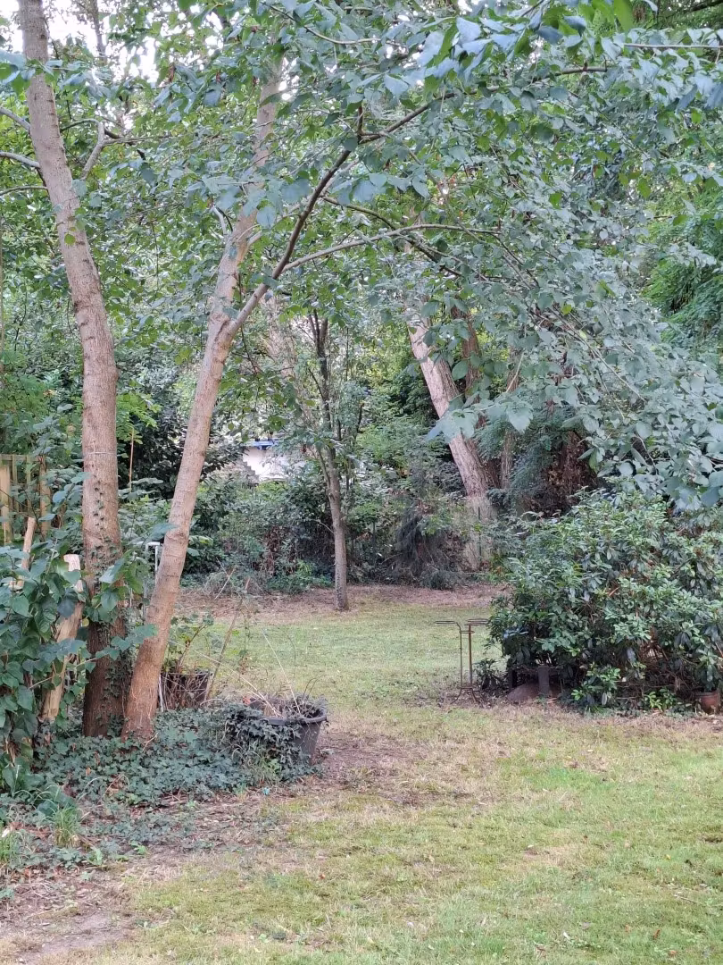 Appartement au rez-de-chaussée avec jardin à Sint-Amandsberg - 16