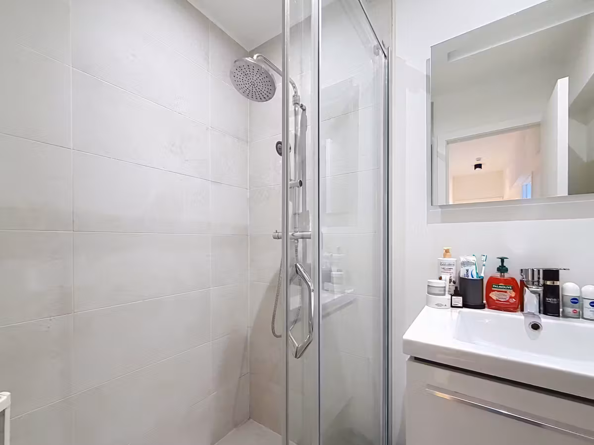 3-bedroom apartment with large terrace - 6