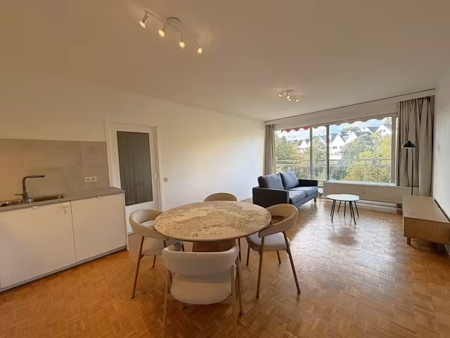 Furnished renovated apartment with terrace - 7