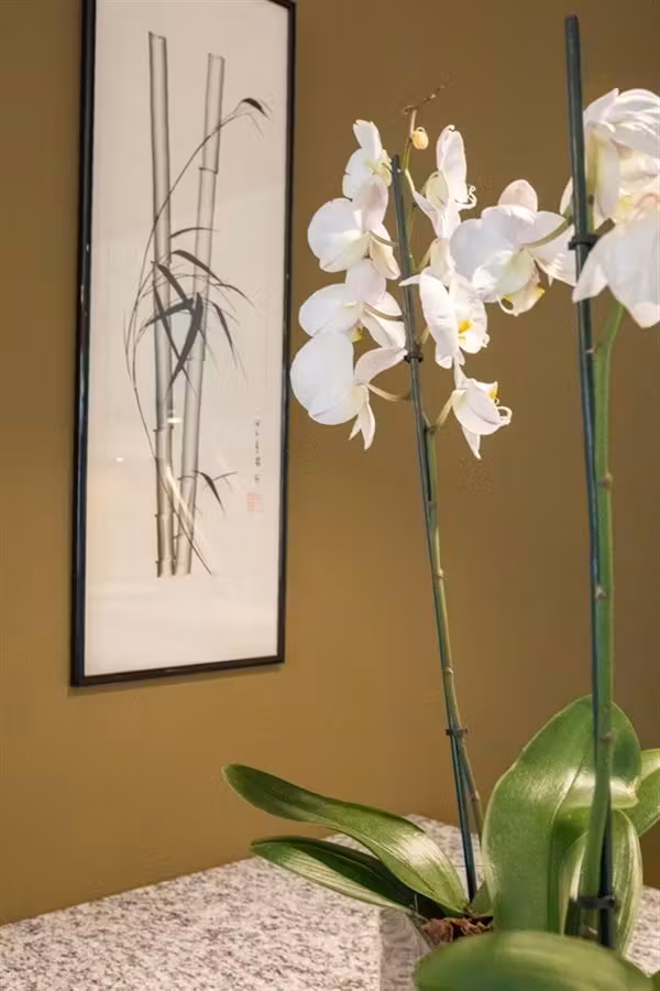 Superbe appartement meublé à Saint-Gilles - 12