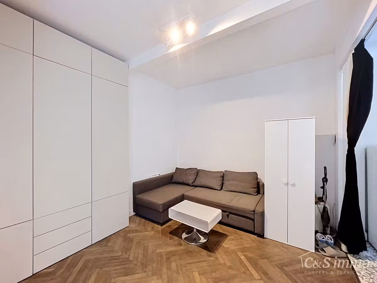 Studio meublé avec terrasse sur la Britselei - 1