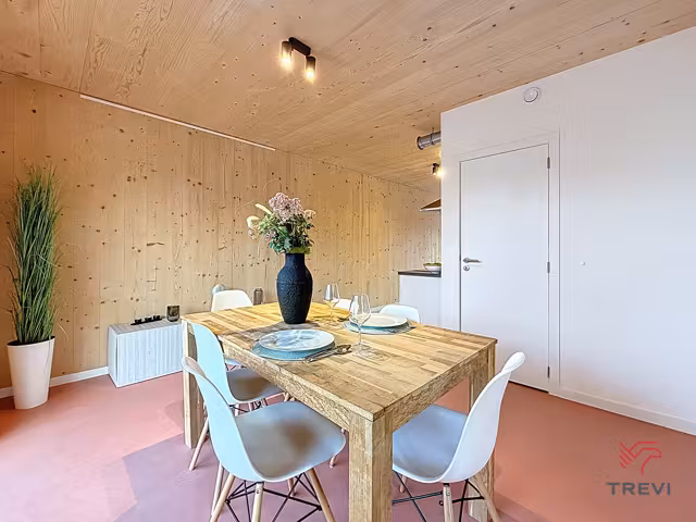 Prachtig appartement in Tannat project Molenbeek - 3