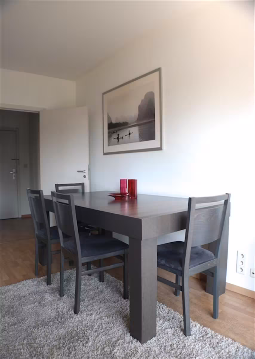Furnished one-bedroom apartment in Schaerbeek - 8