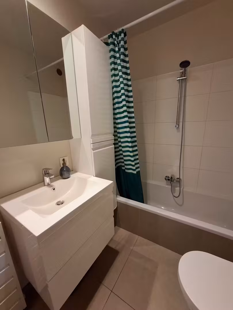 Ruime, instapklare en lichtrijke studio met groot terras aan de Coupure - 11