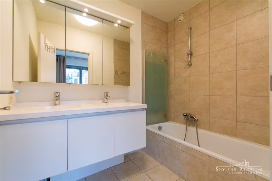 Furnished apartment near the Chasse - 5