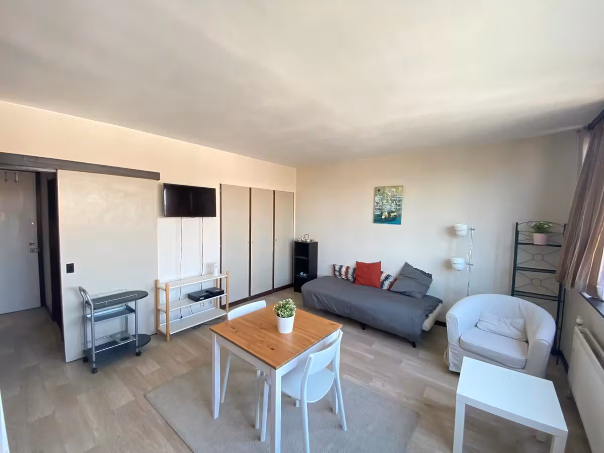 Bright studio in Woluwe-Saint-Lambert - 4