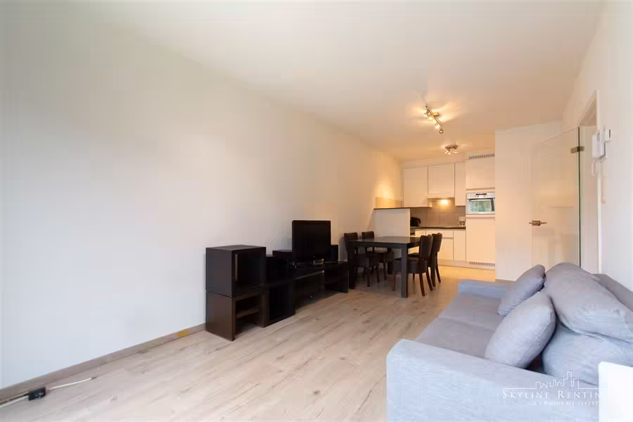 Furnished apartment near the Chasse - 6
