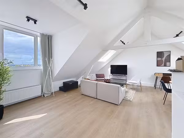 Furnished 1-bedroom apartment near Dailly Square - 7