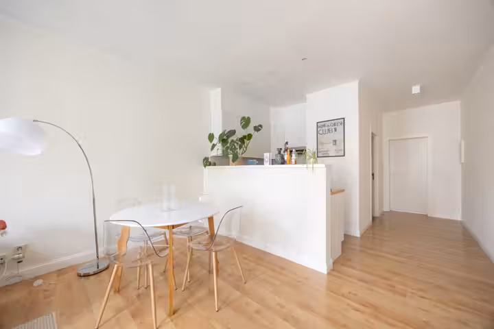 Lichtrijk appartement in hartje Antwerpen - 3