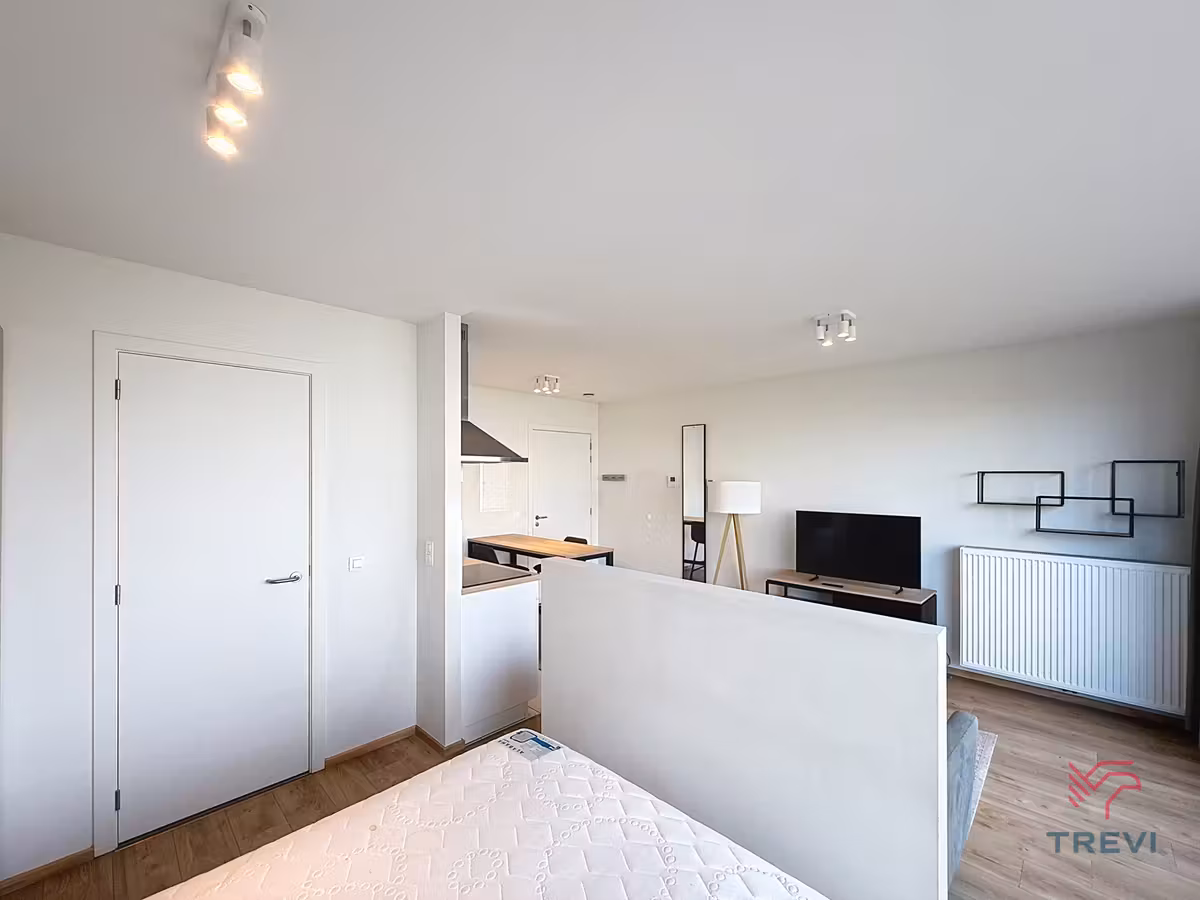 Furnished studio with terrace and parking - 7