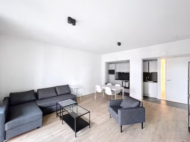 Modern furnished apartment with terrace - 9