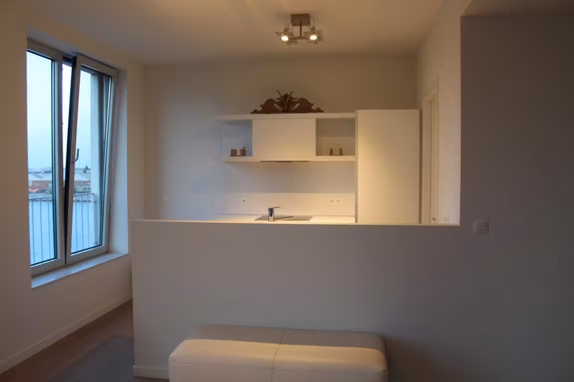 Bemeubeld appartement met terras en zicht op het Eilandje - 6