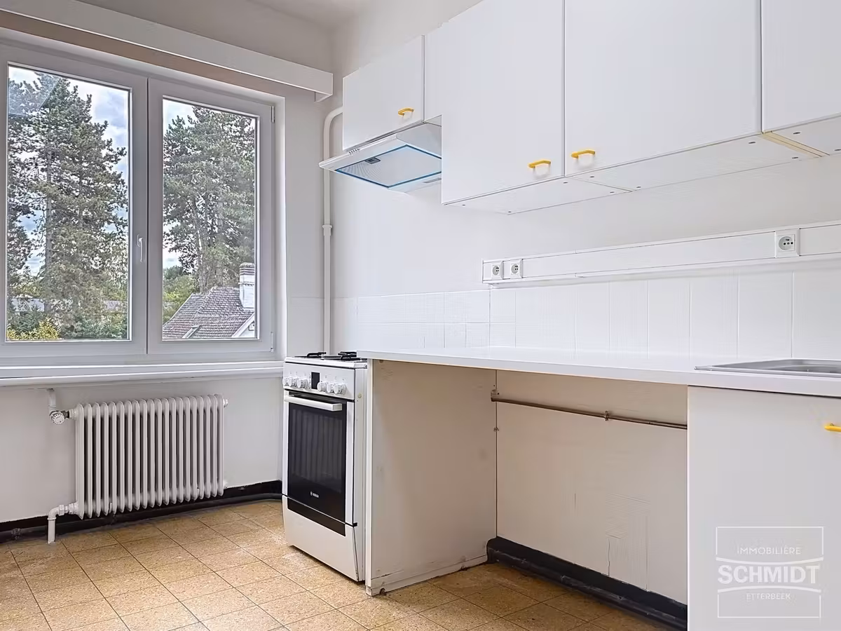 Renovated 2-bedroom apartment with garage - 12