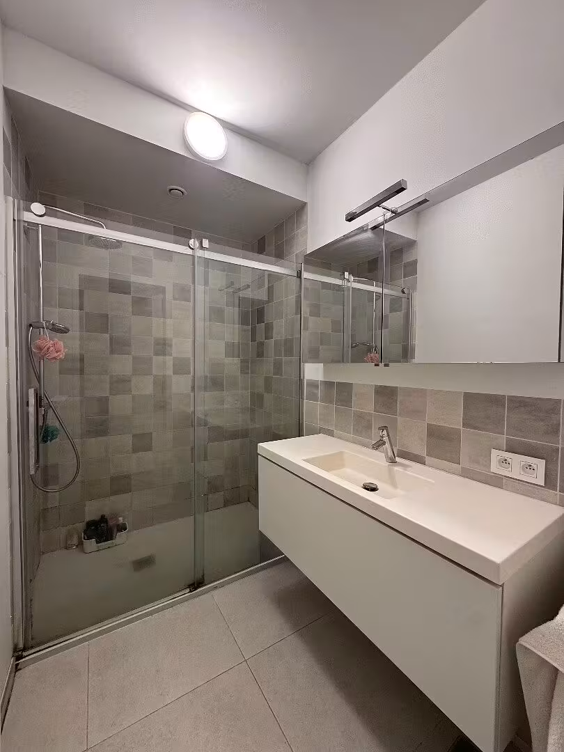 Stylish and bright apartment with 2 bedrooms and terrace - 4
